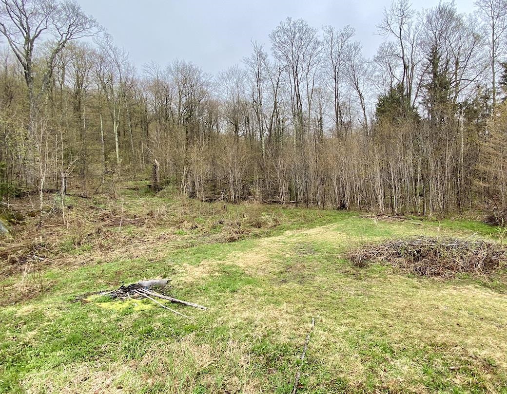 00 Charlie Wilson Road