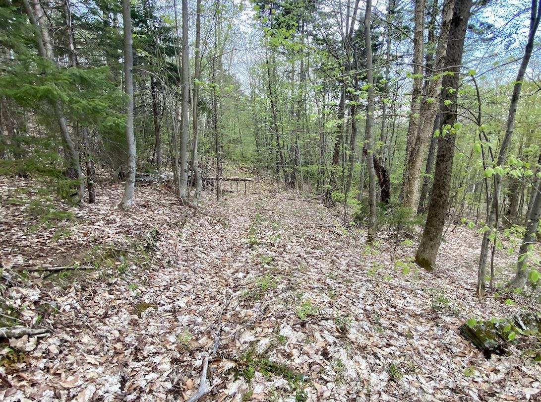 00 Charlie Wilson Road