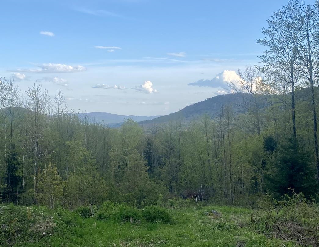 00 Charlie Wilson Road