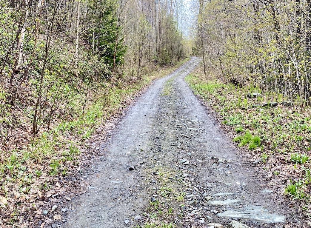 00 Charlie Wilson Road