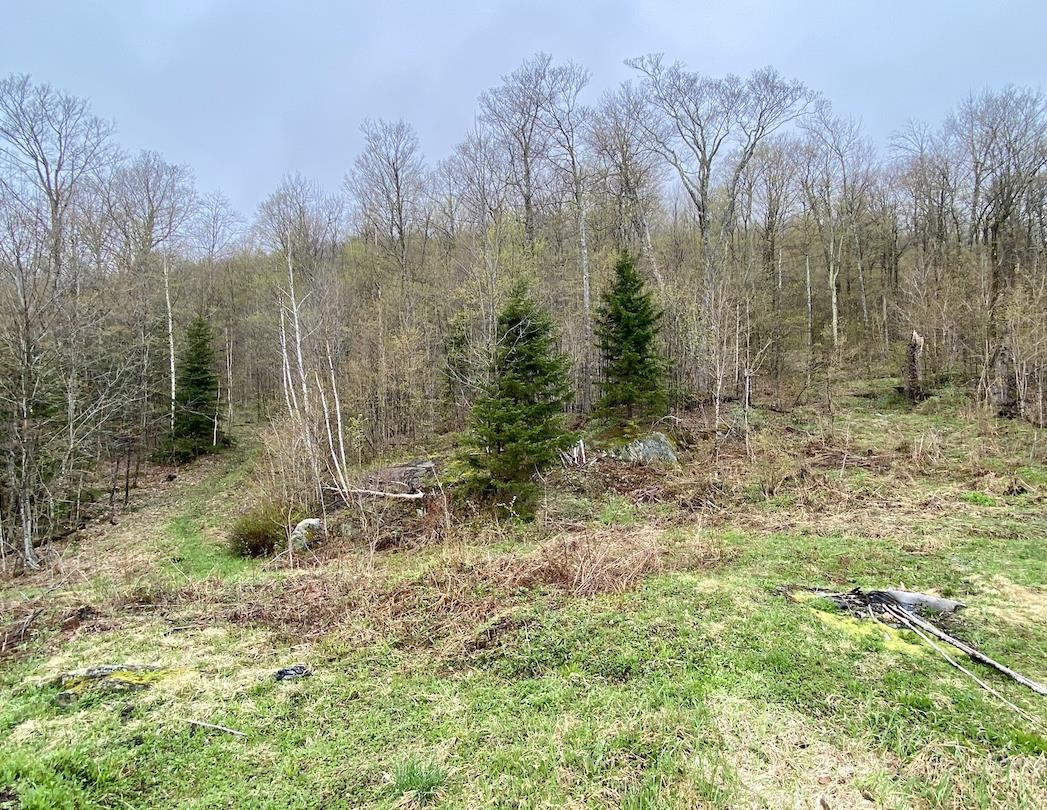 00 Charlie Wilson Road