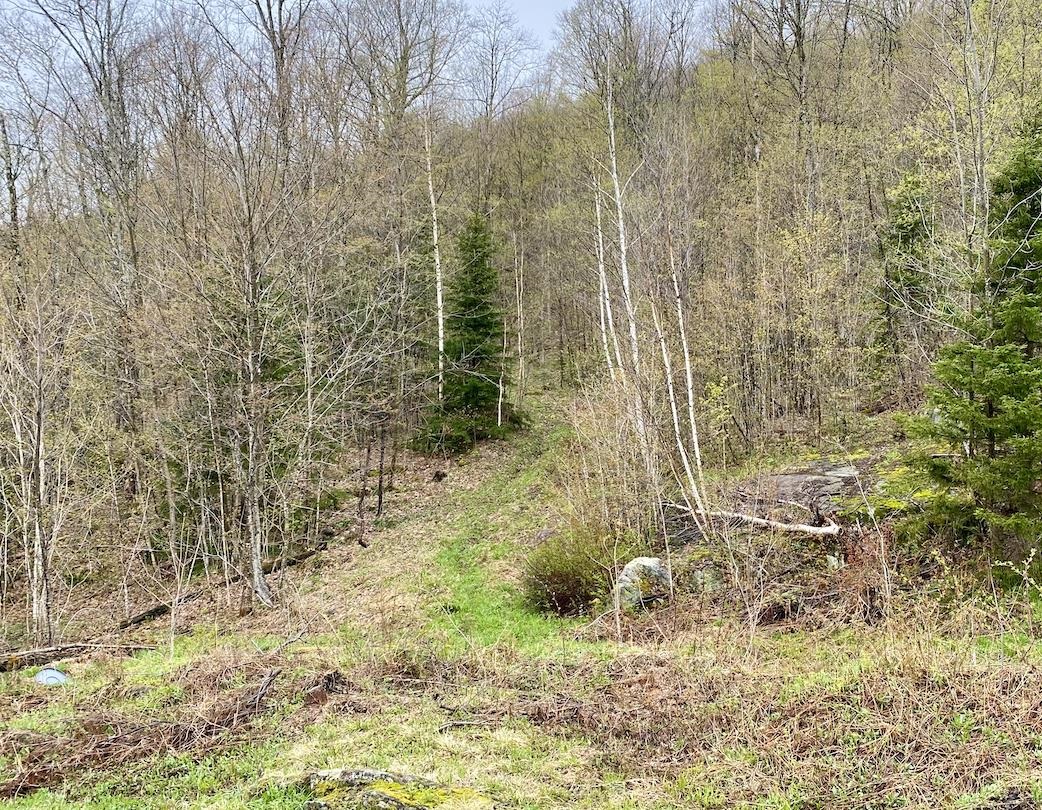 00 Charlie Wilson Road