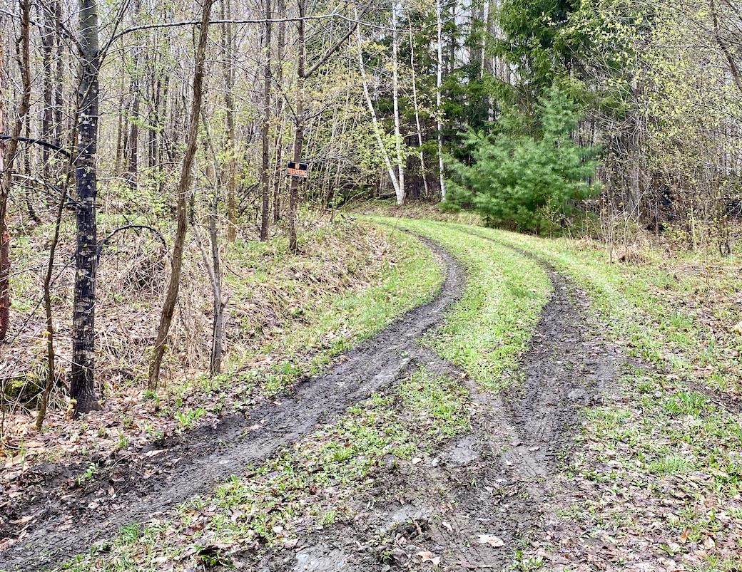 00 Charlie Wilson Road