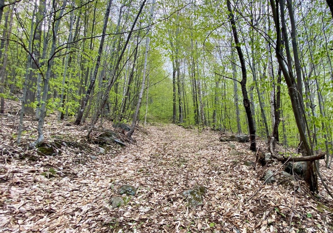 00 Charlie Wilson Road