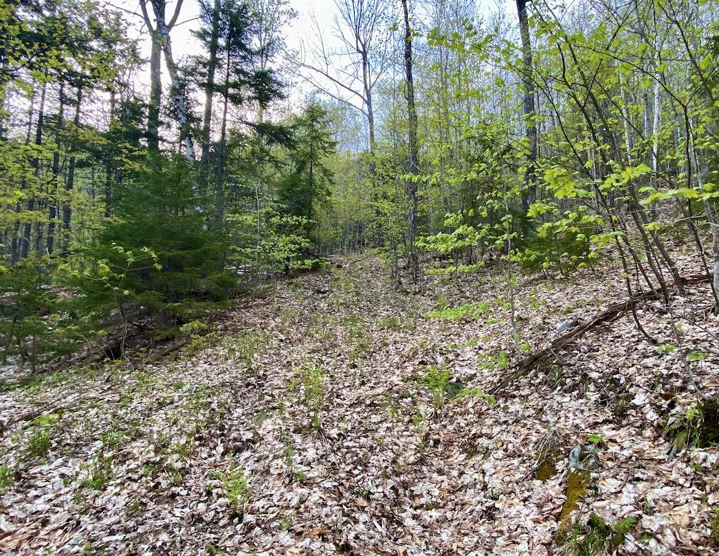 00 Charlie Wilson Road