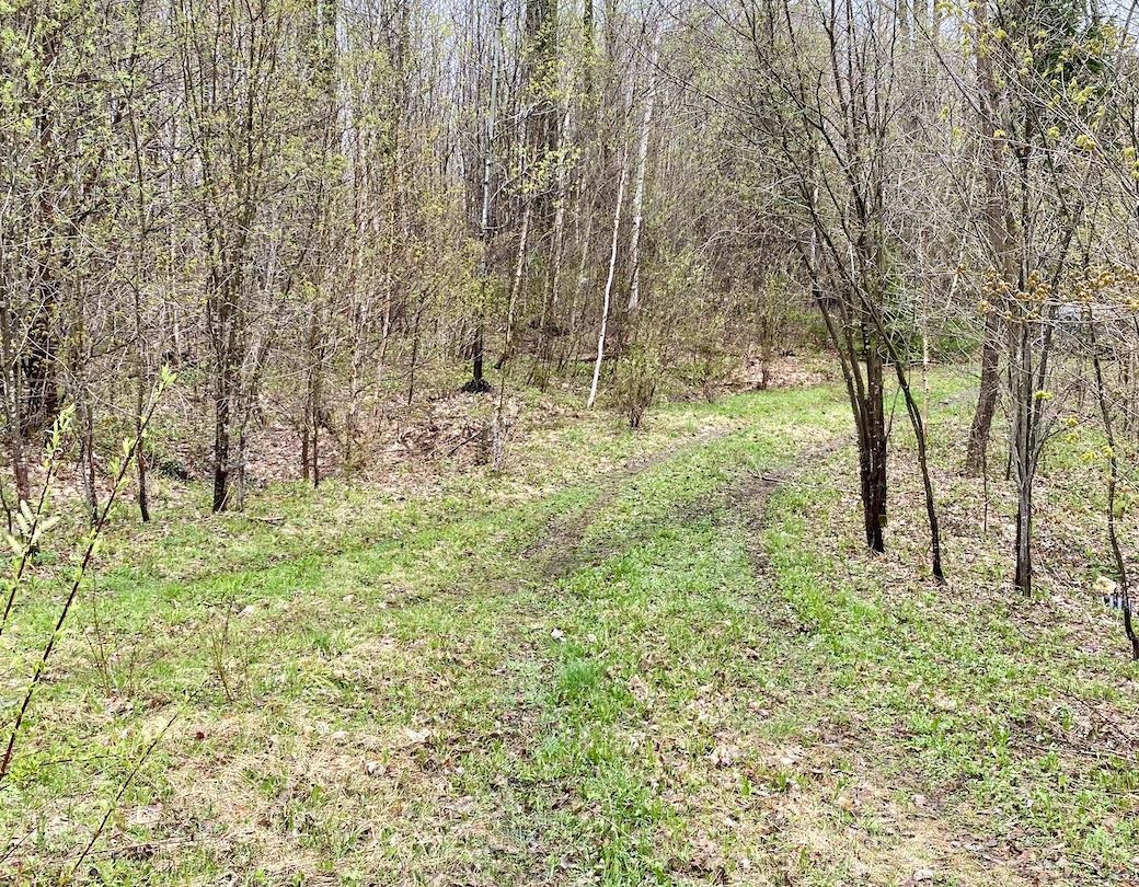 00 Charlie Wilson Road