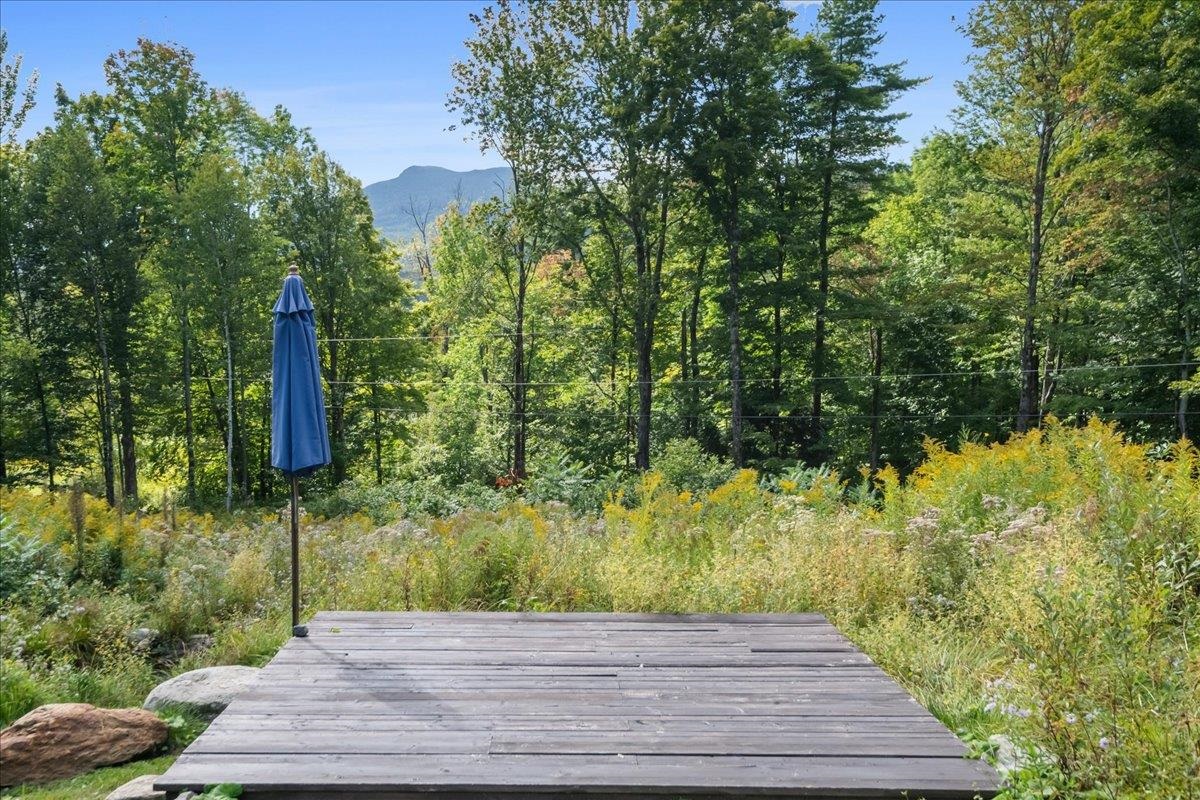 Wooden deck and closed blue umbrella overlooking wildflowers, woods, and a distant mountain.