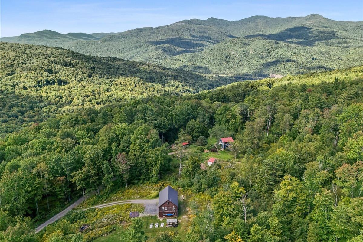 Aerial view of a secluded house surrounded by forest, with distant green mountains.