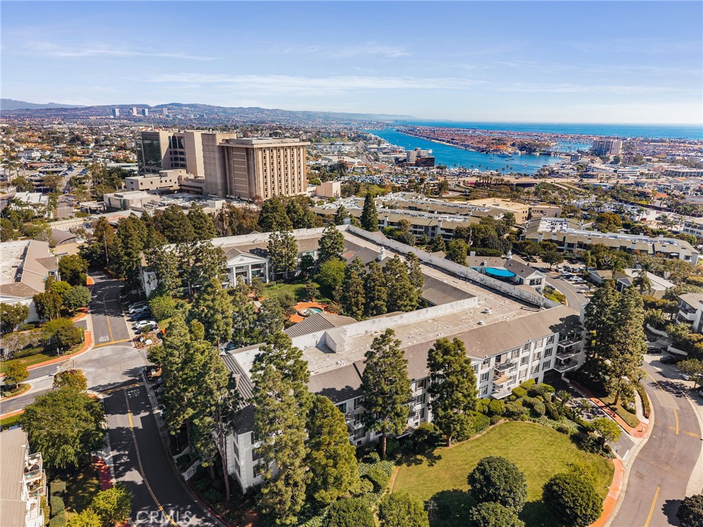 102 Scholz Plaza 239