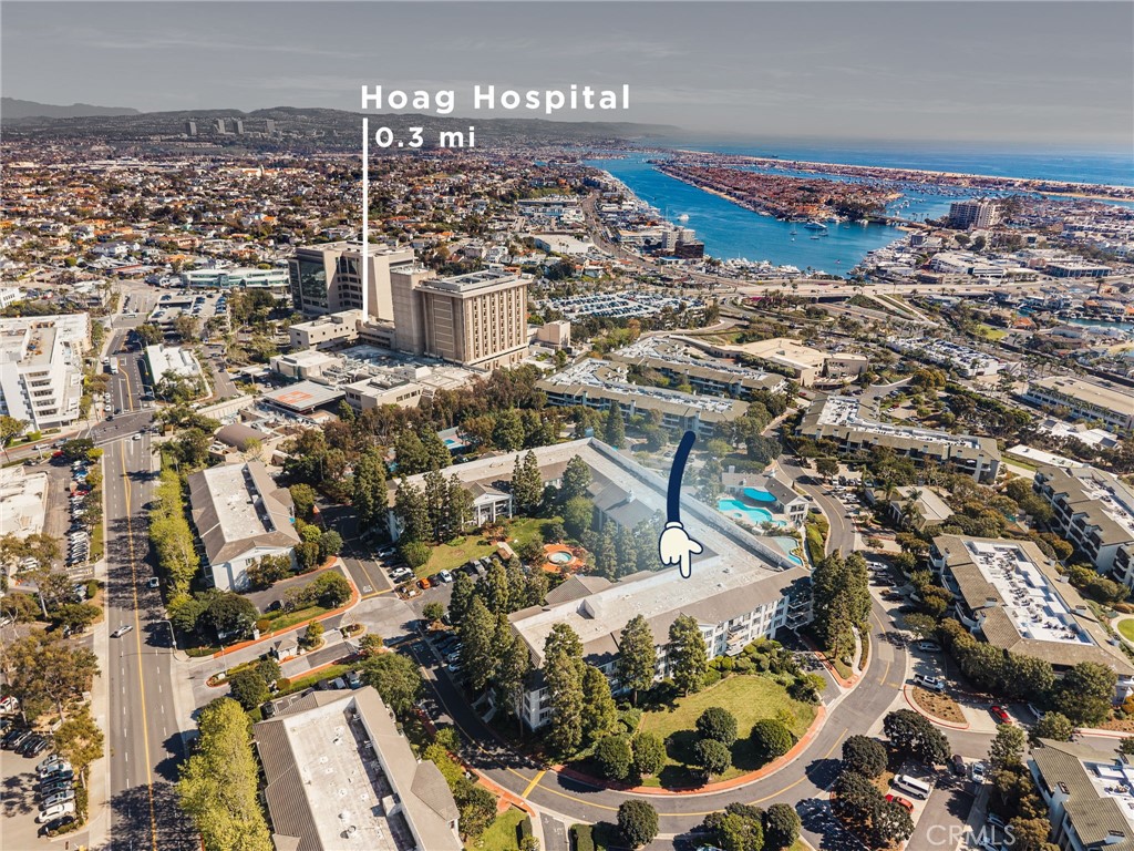 102 Scholz Plaza 239