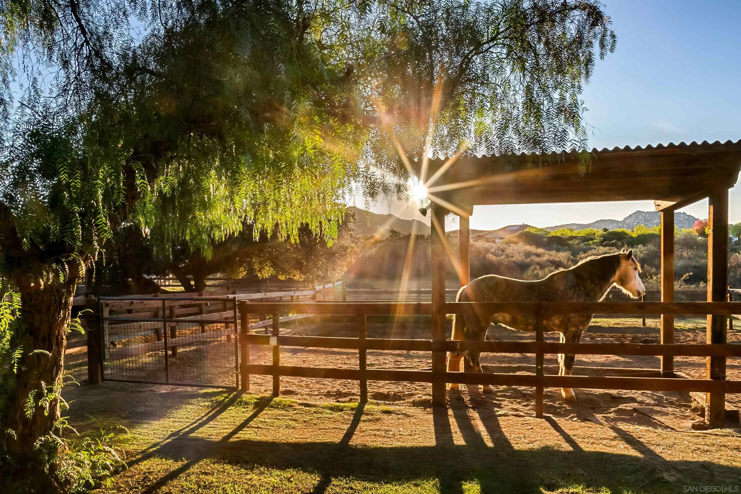 15336 Mesa Estates Ct