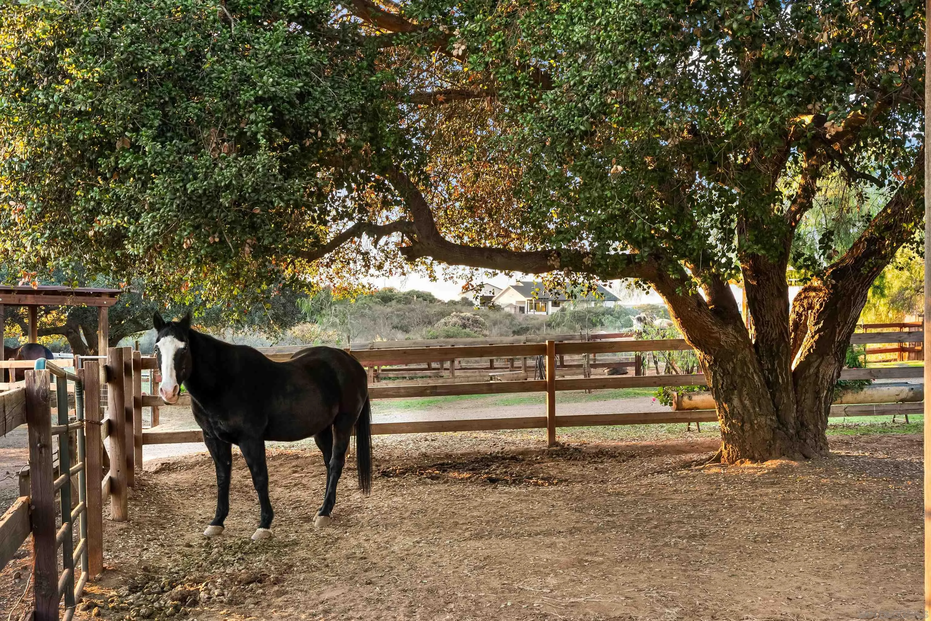 15336 Mesa Estates Ct