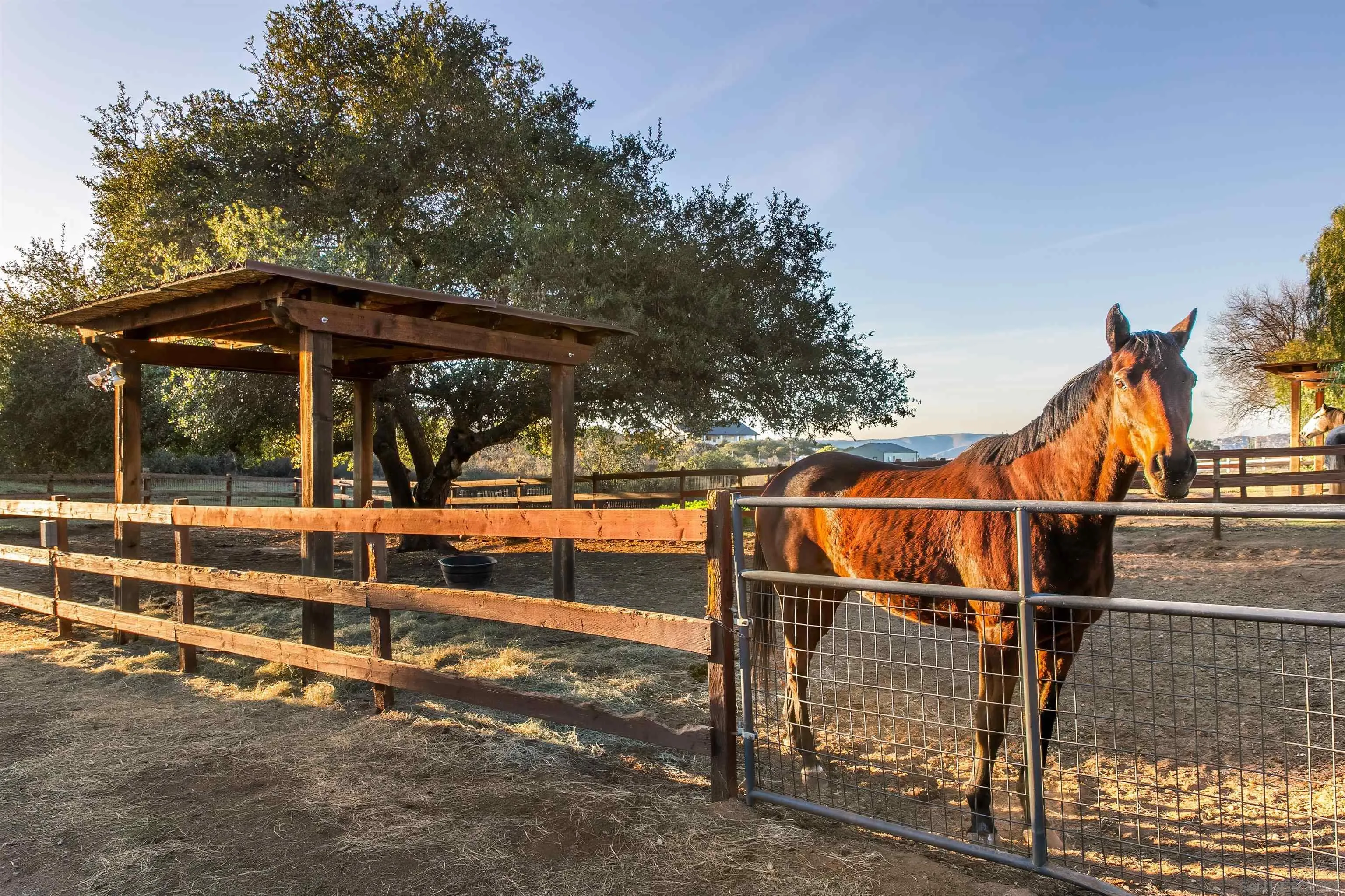 15336 Mesa Estates Ct