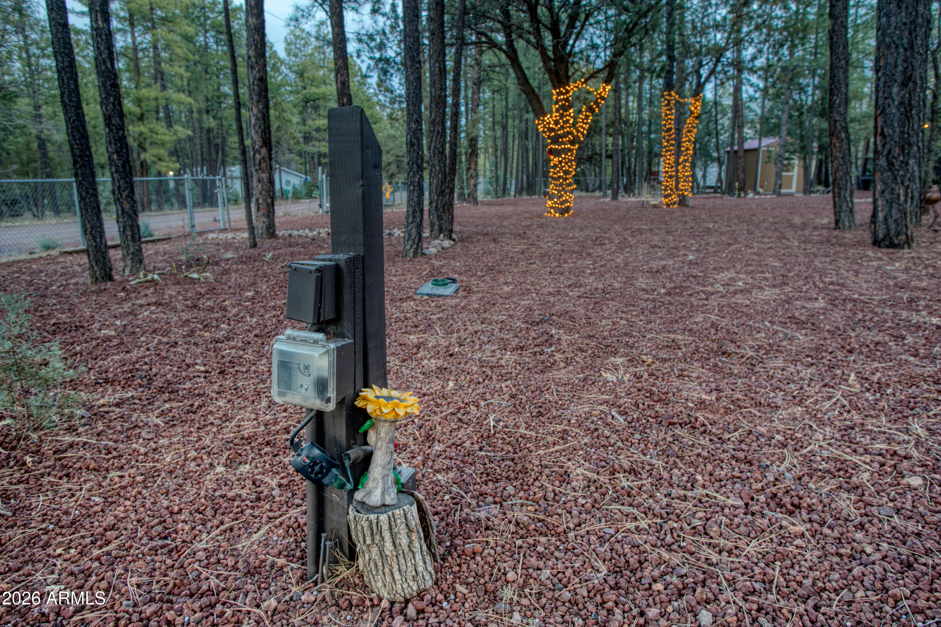 3623 BEAR Trail