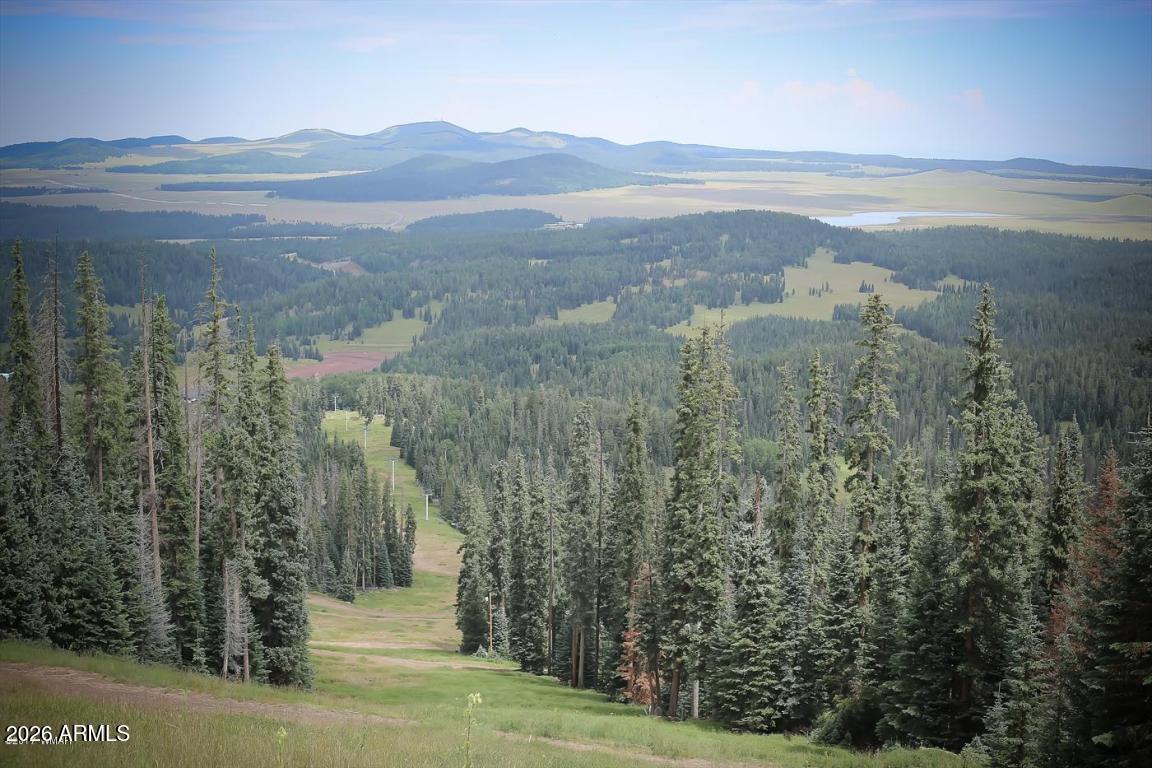 3623 BEAR Trail