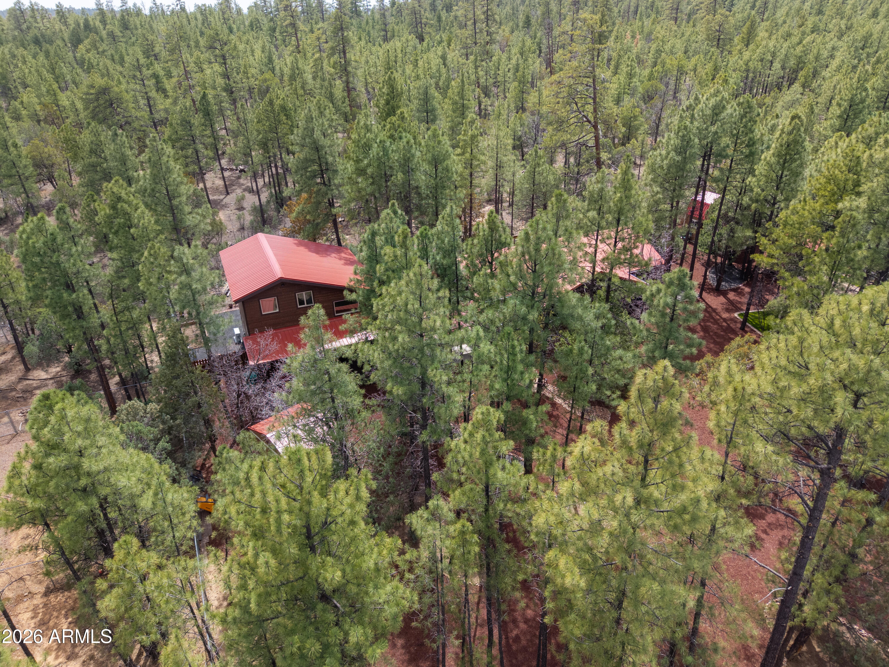 3623 BEAR Trail