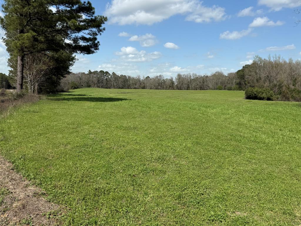 0 County Road 221