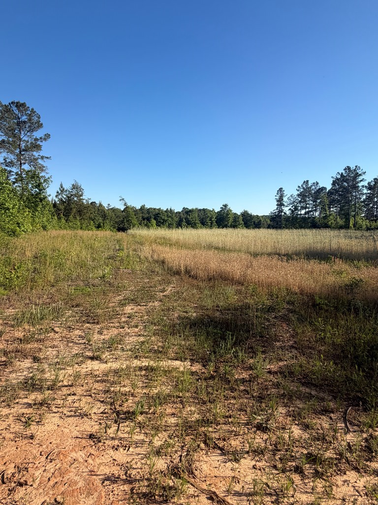 1139 County Road 19