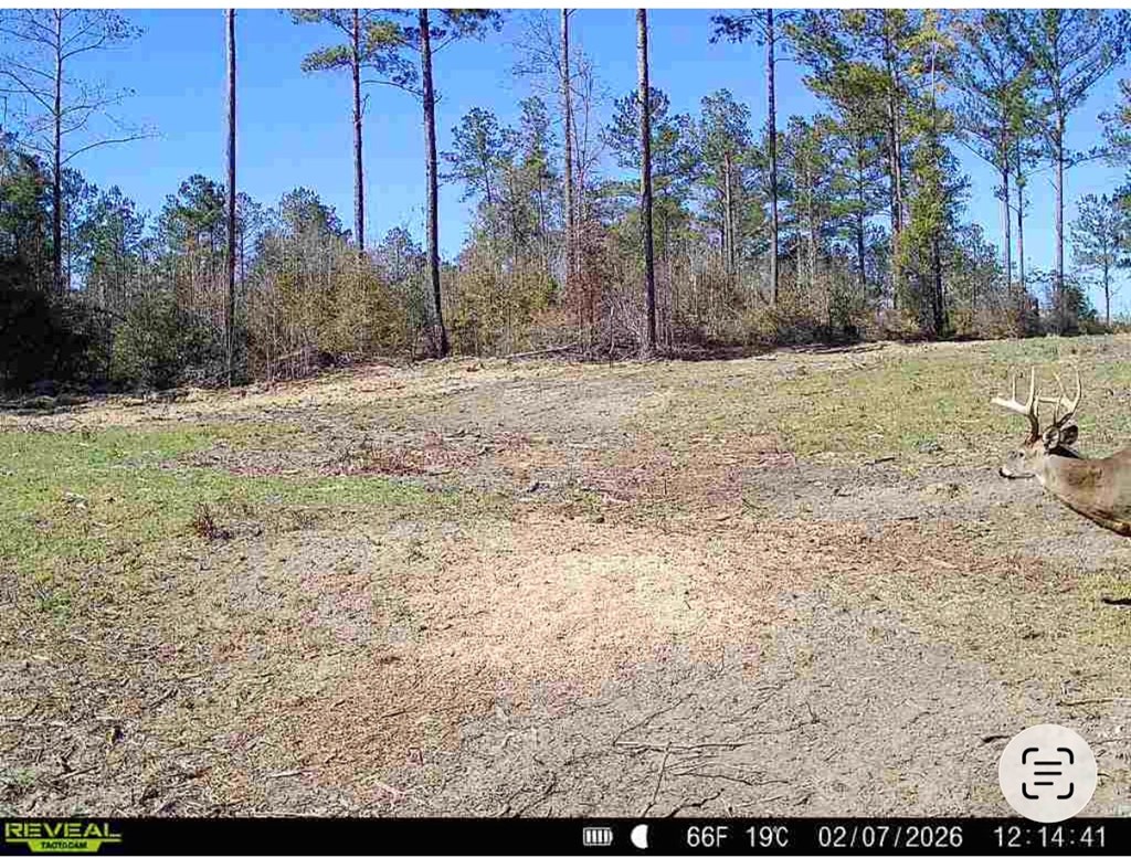 1139 County Road 19