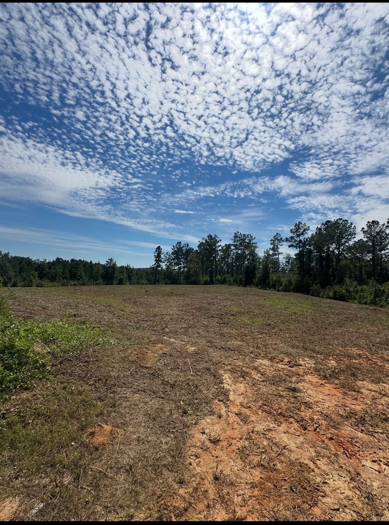 1139 County Road 19