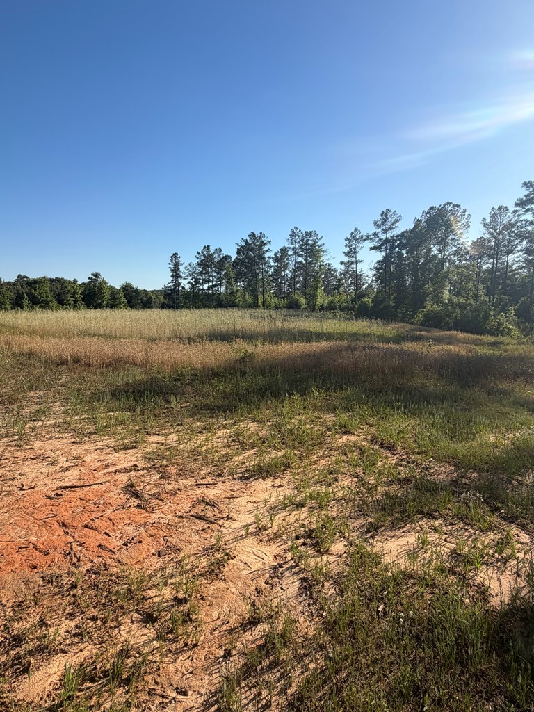 1139 County Road 19