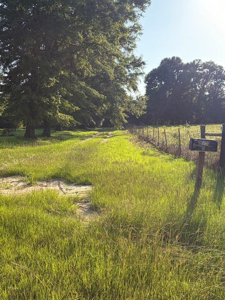 895 County Road 200