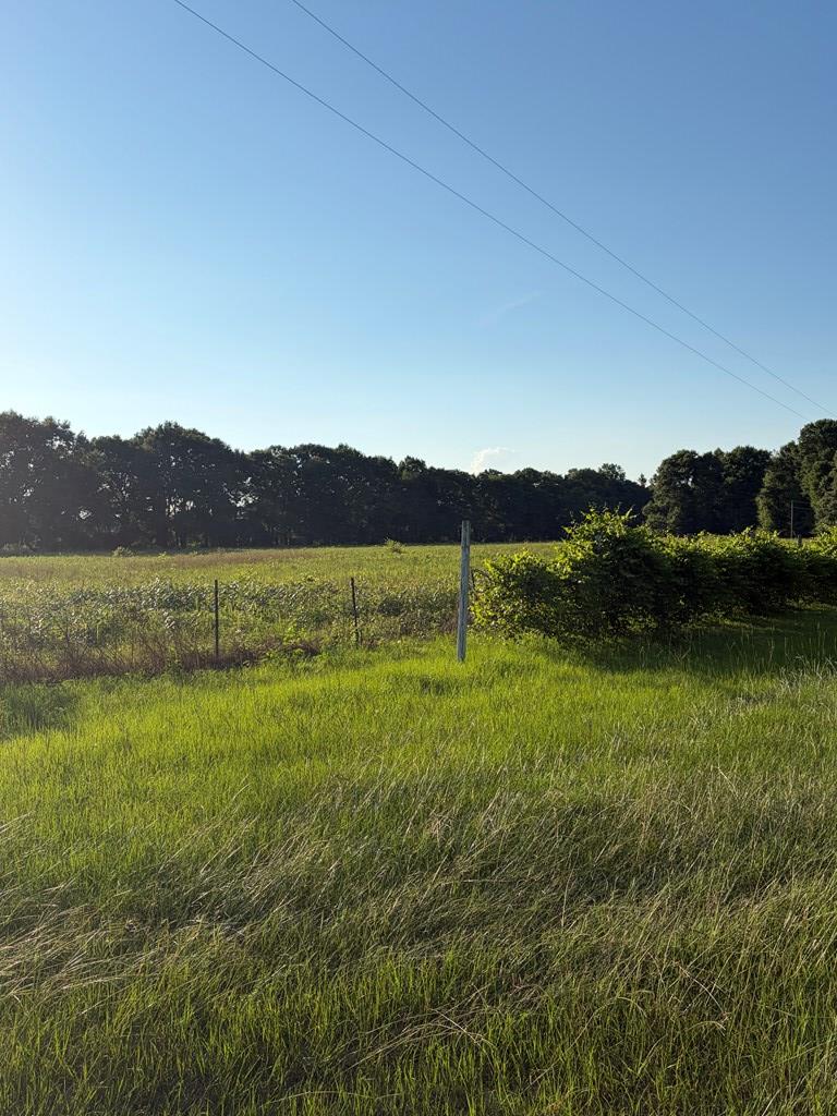 895 County Road 200