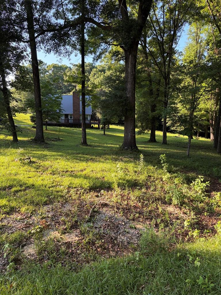 895 County Road 200