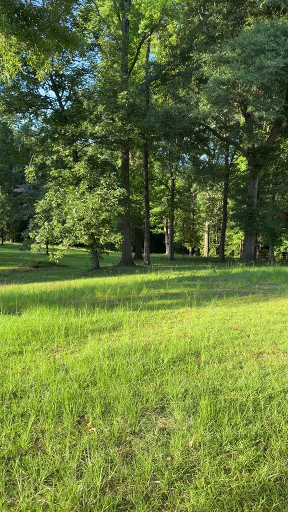 895 County Road 200