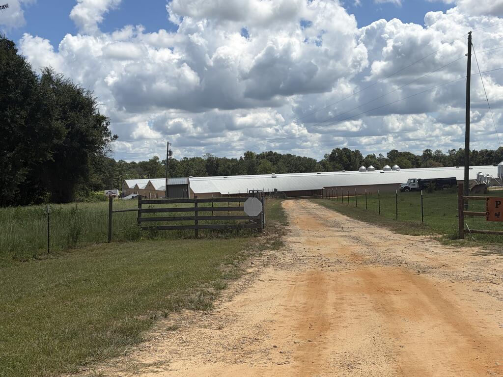 484 County Road 23