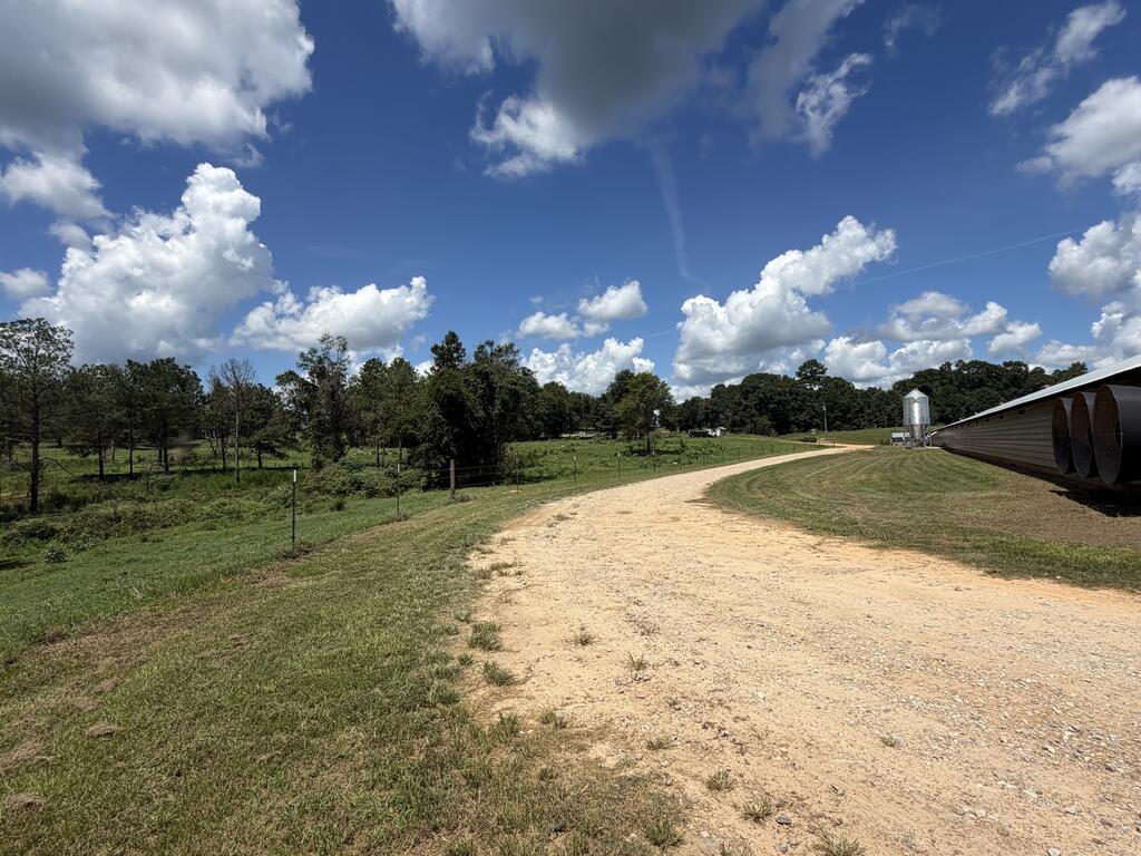 484 County Road 23