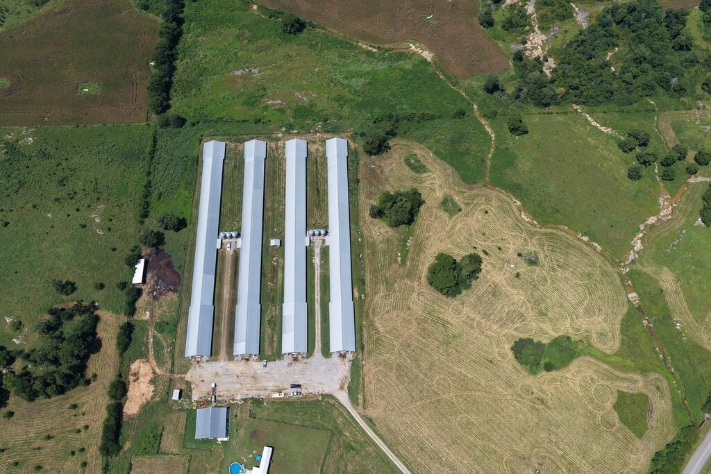 342 County Road 460