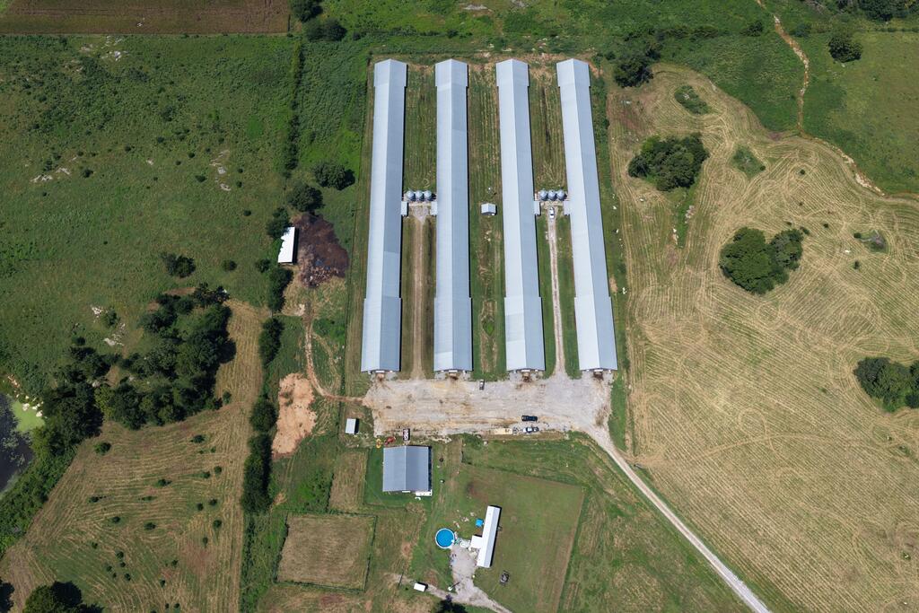 342 County Road 460
