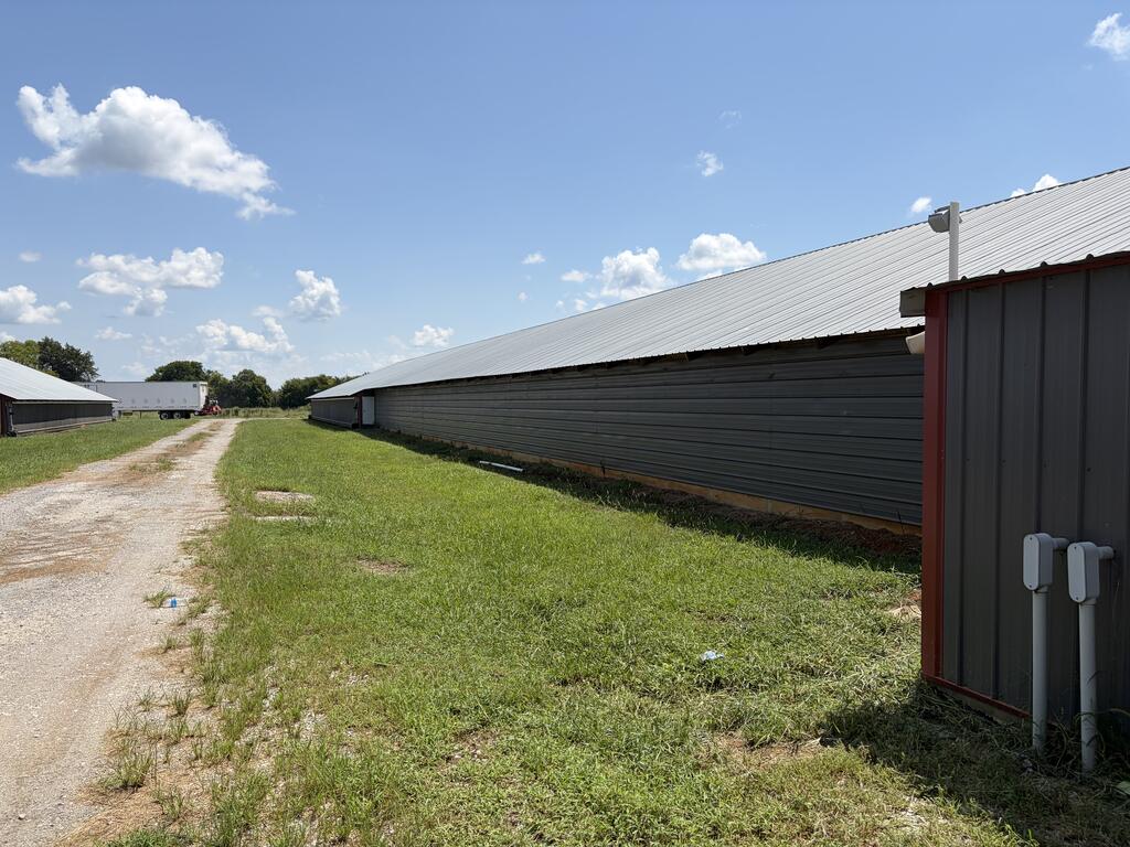 342 County Road 460