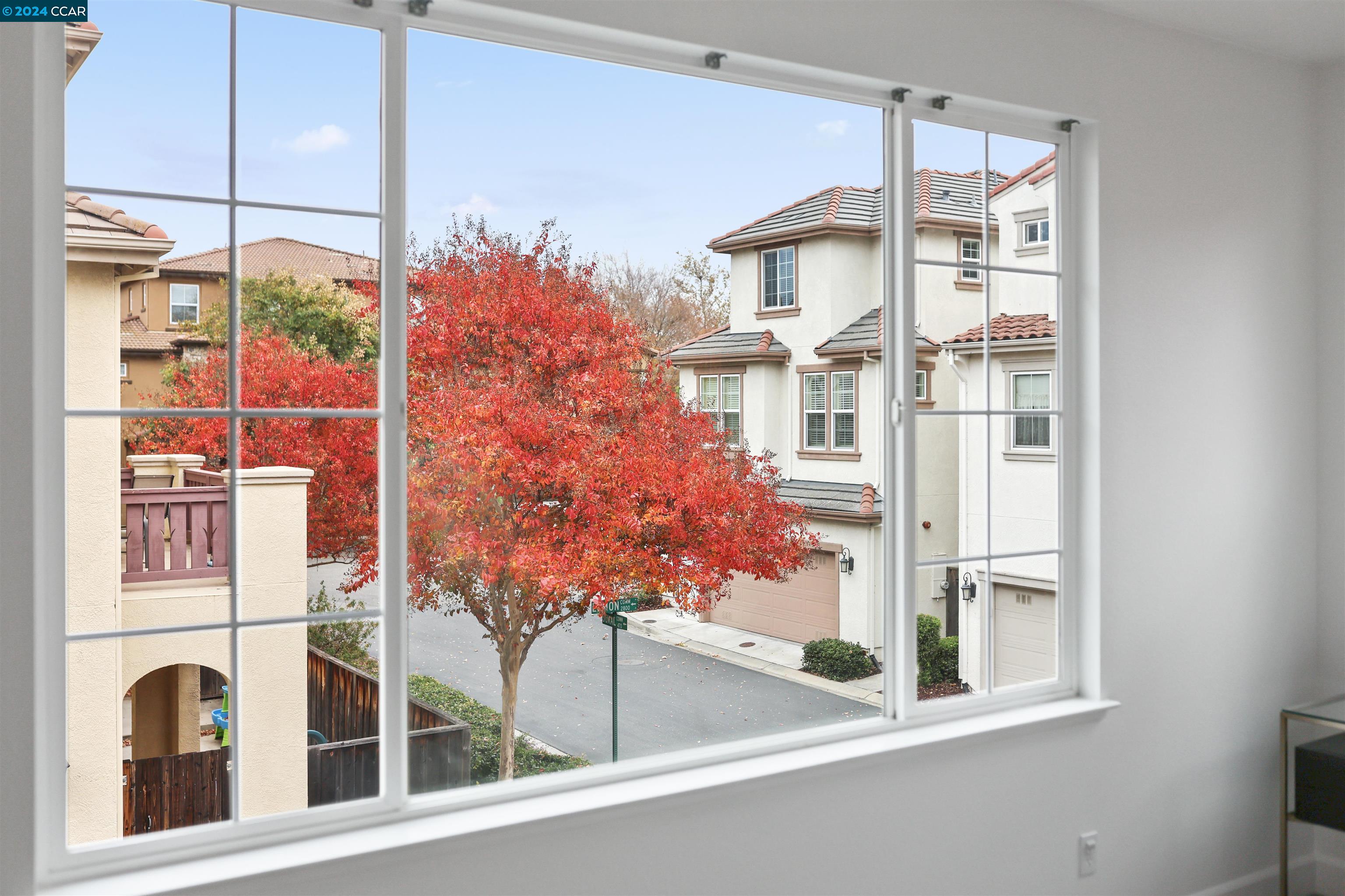 2810 Lemon Common