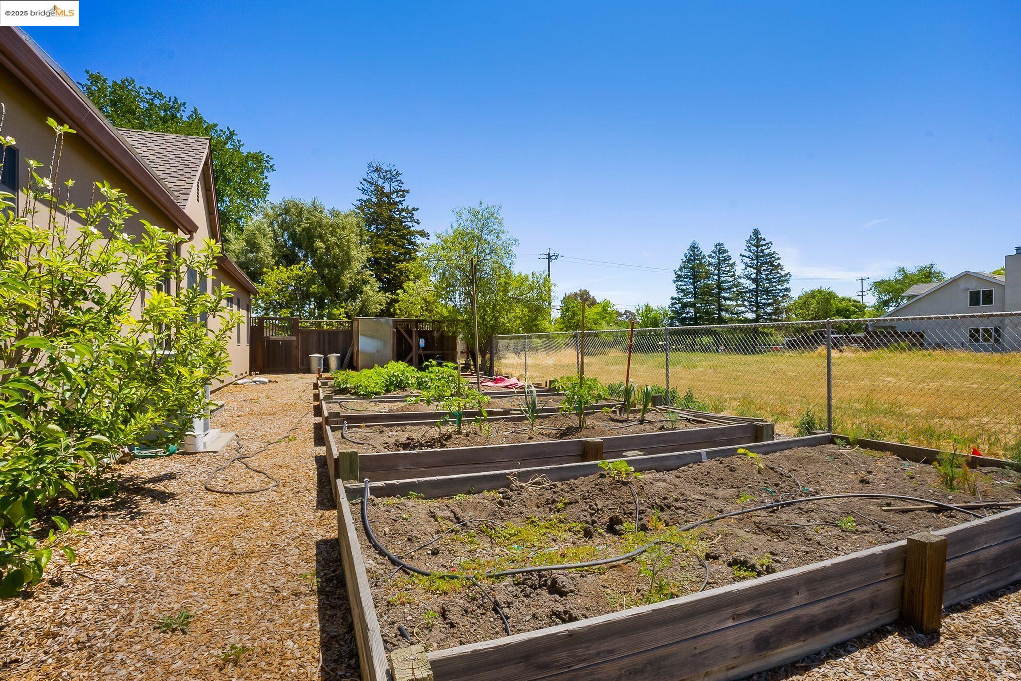 1901 Buena Vista Ave
