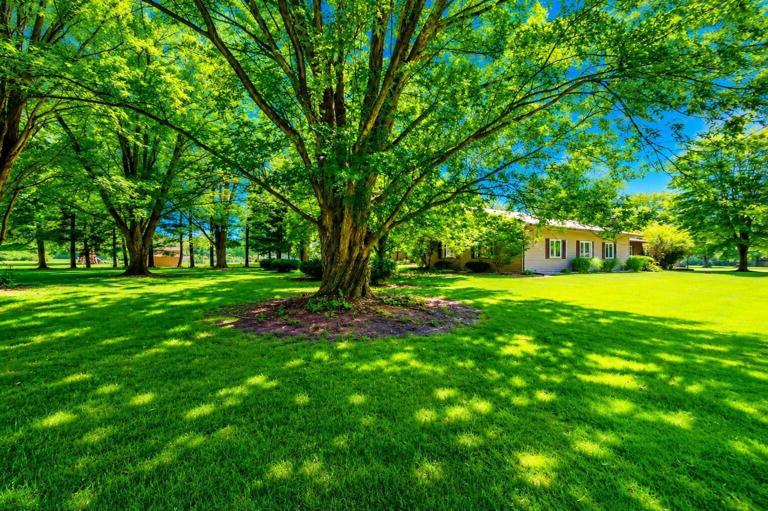3172 E River Road