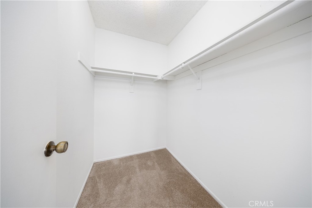34 Elksford Avenue 3