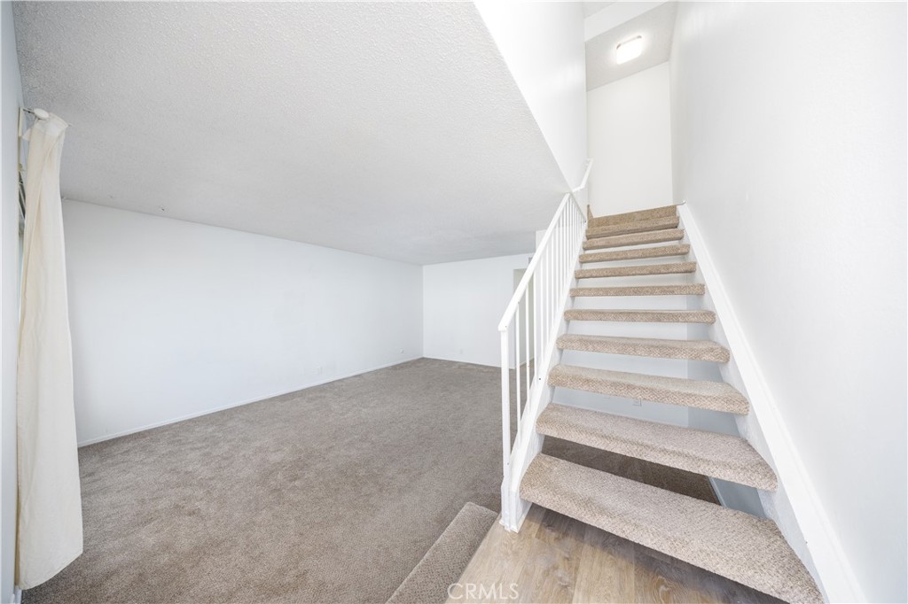 34 Elksford Avenue 3
