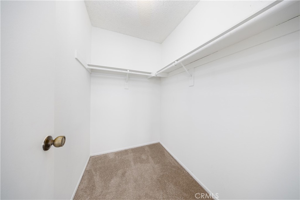 34 Elksford Avenue 3