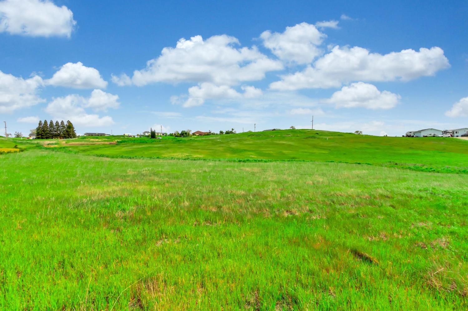 2355 Grapevine Gulch Road