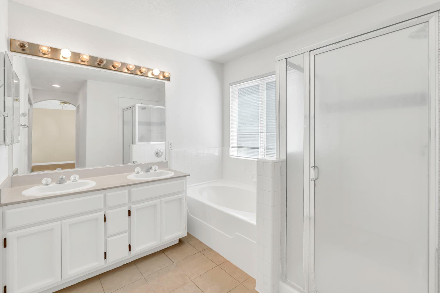 8280 Branchoak Court