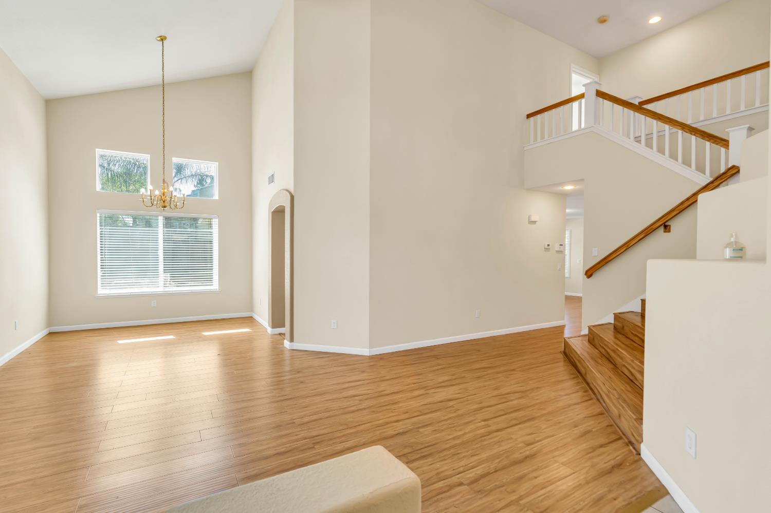 8280 Branchoak Court