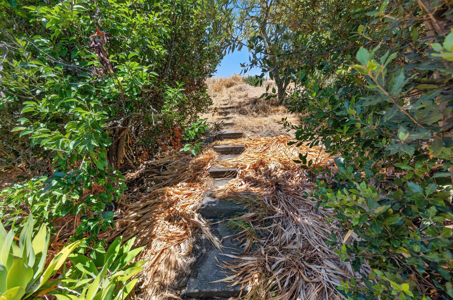 807 REEF POINT Drive