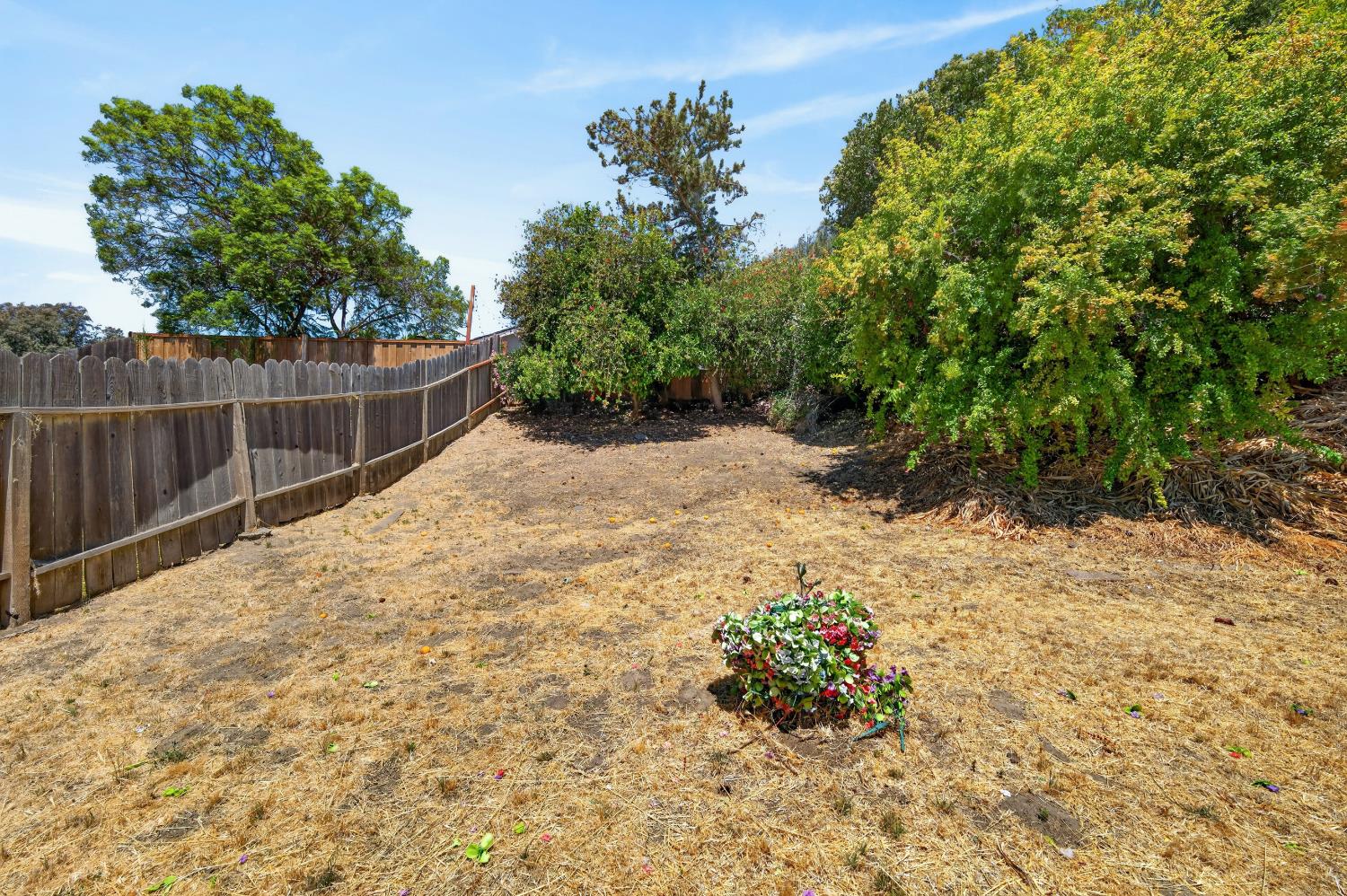 807 REEF POINT Drive