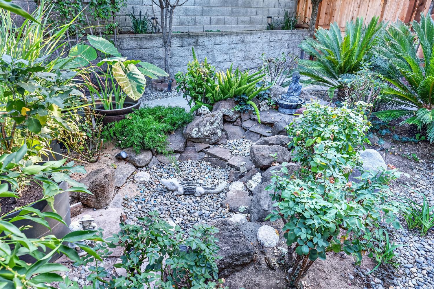 Landscaped backyard garden with a winding rock path, tropical plants, and a Buddha statue.