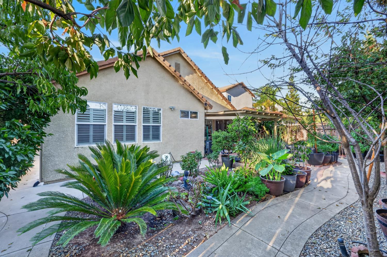 Home’s rear exterior and covered patio framed by leafy trees and a lush potted garden.
