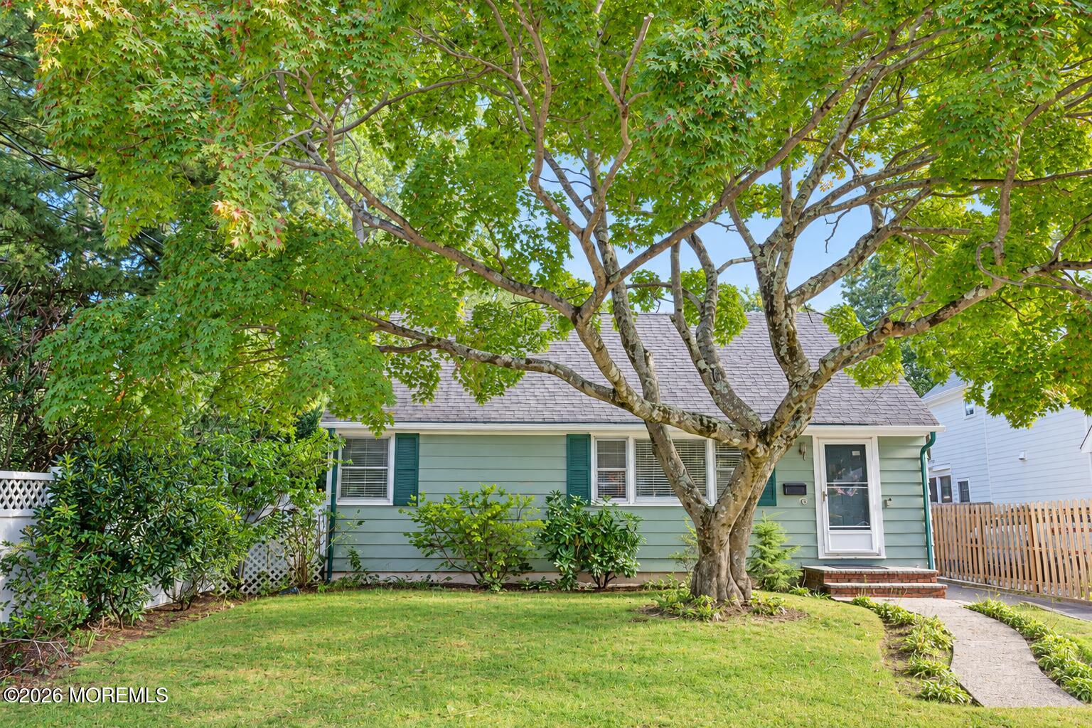 Single-story green house partly shaded by a large mature tree, with a front lawn and walkway.