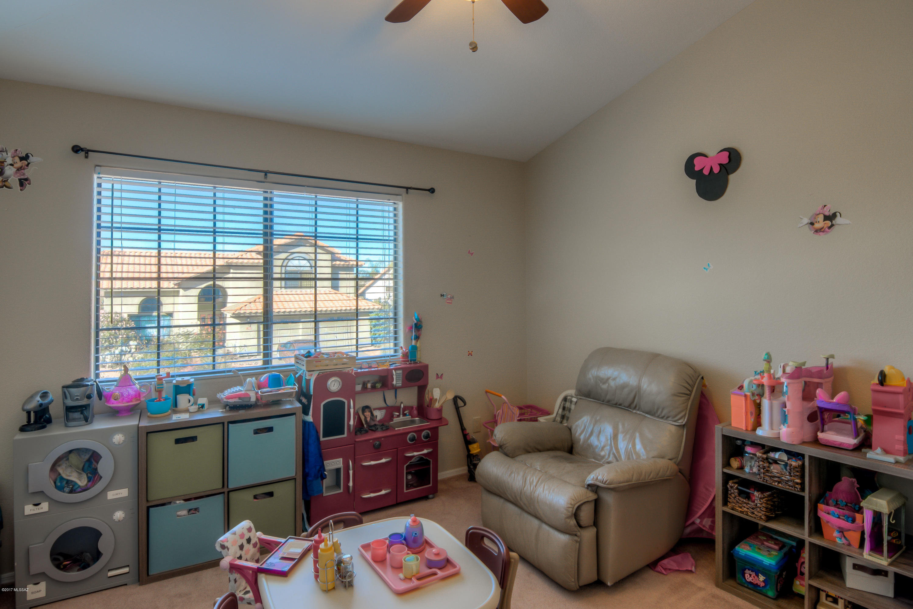 11796 N Dragoon Springs Drive