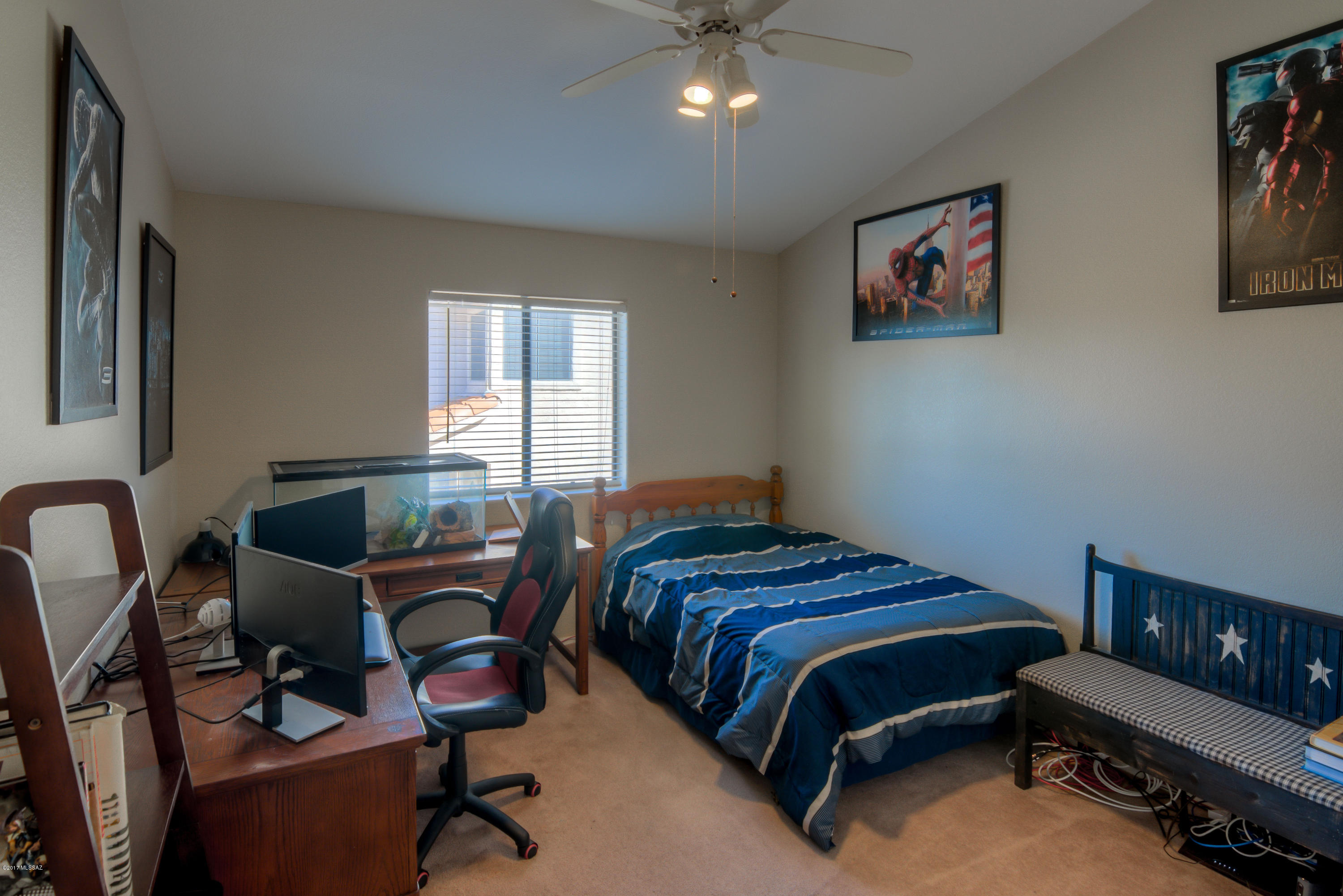 11796 N Dragoon Springs Drive